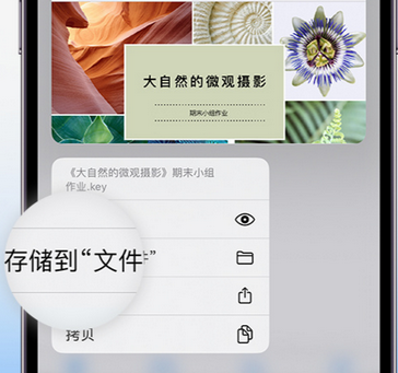 赣州apple维修中心分享iPhone文件应用中存储和找到下载文件