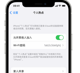 赣州apple服务站点分享iPhone上个人热点丢失了怎么办 