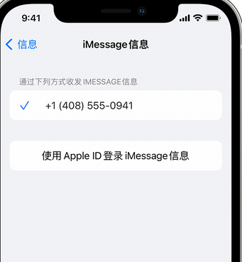 赣州apple维修iPhone上无法正常发送iMessage信息 