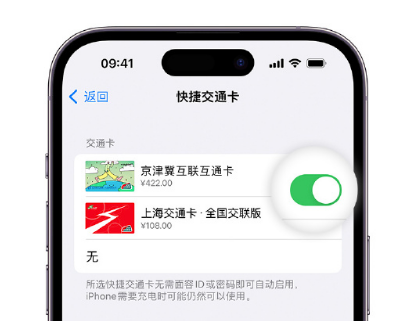 赣州apple维修点分享iPhone上更换Apple Pay快捷交通卡手绘卡面 