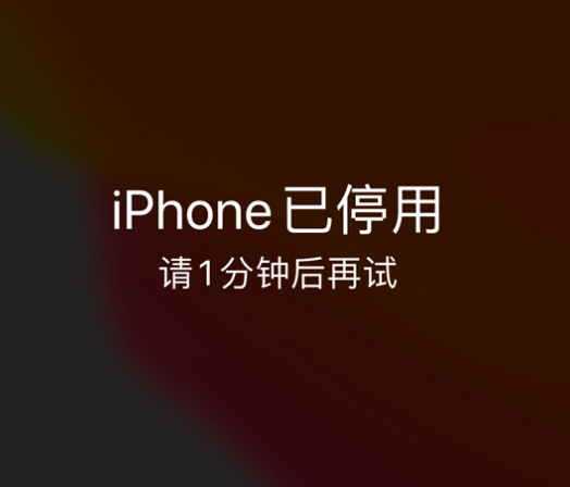 赣州苹果手机维修分享:iPhone 显示“不可用”或“已停用”怎么办？还能保留数据吗？ 