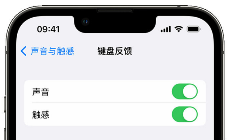 赣州苹果手机维修分享iPhone 14触感键盘使用方法 