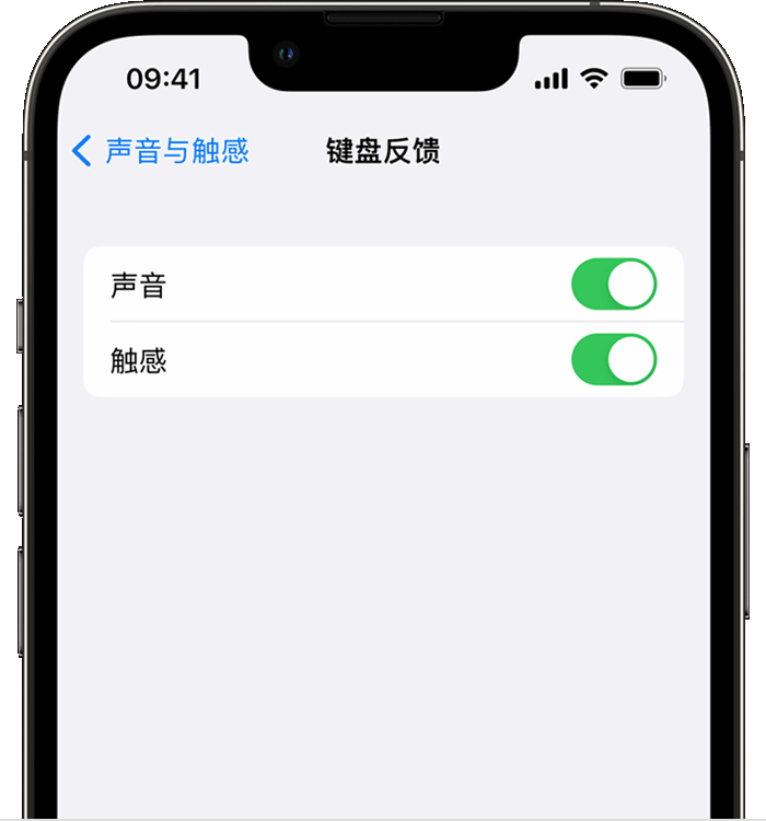 赣州苹果14维修店分享如何在 iPhone 14 机型中使用触感键盘 