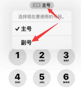 赣州苹果14维修店分享iPhone 14 Pro Max使用副卡打电话的方法 