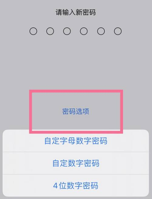 赣州苹果14维修分享iPhone 14plus设置密码的方法 