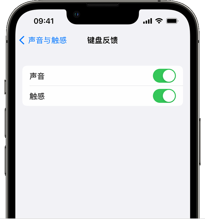 赣州苹果14维修分享iPhone 14 系列机型如何开启键盘声音或触感反馈 