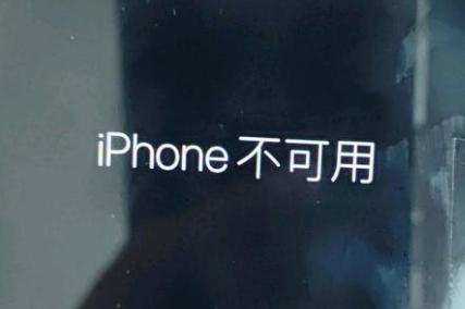 赣州苹果服务网点分享锁屏界面显示“iPhone 不可用”如何解决 