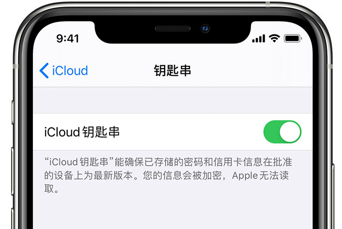 赣州苹果手机维修分享在 iPhone 上开启 iCloud 钥匙串之后会储存哪些信息 