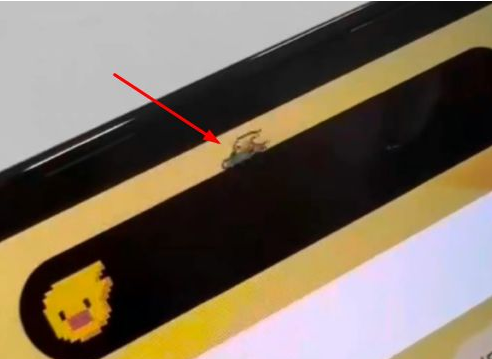 赣州苹果14维修分享iPhone 14 Pro Max灵动岛怎么养宠物 