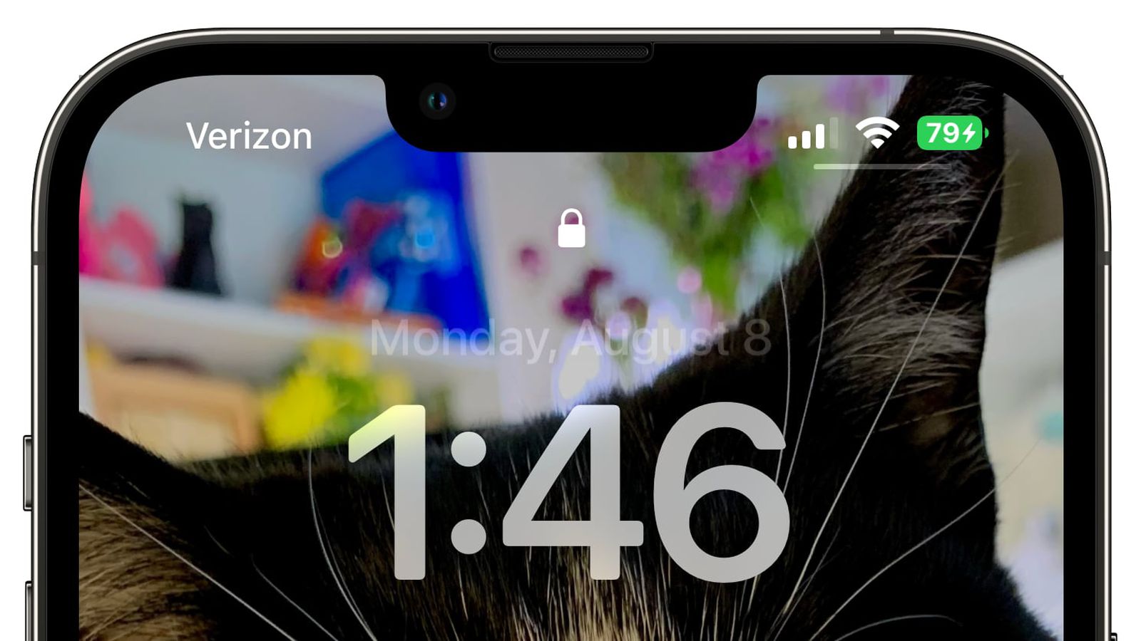 赣州苹果手机维修分享iOS 16 beta 5 支持状态栏显示电池百分比，如何开启？支持哪些机型 