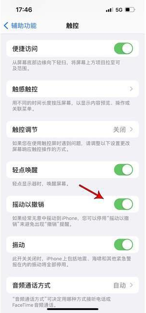 赣州苹果手机维修分享iPhone手机如何设置摇一摇删除文字 